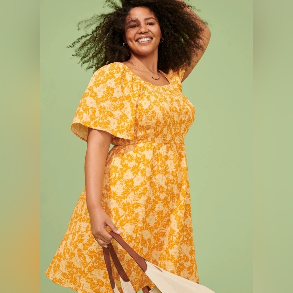 Terra & Sky Women's Plus Size Flutter Sleeve Fit & Flare Dress New Size 2X
